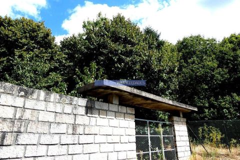 Helårsgrund i Baiao, Porto, Baiao - € 106.000 | Ref: 9818_T - foto 3