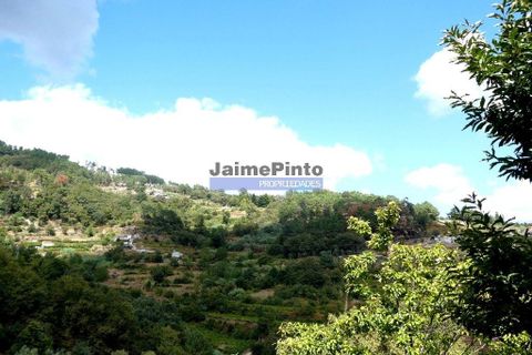 Helårsgrund i Baiao, Porto, Baiao - € 106.000 | Ref: 9818_T - foto 6