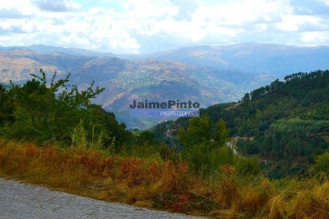 Helårsgrund i Baiao, Porto, Baiao - € 106.000 | Ref: 9818_T - foto 8