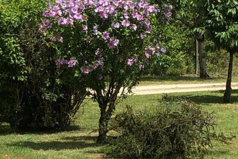 Villa a Thenon, Dordogne, Thenon - € 246.700 | Ref: 415740EDJ - foto 11