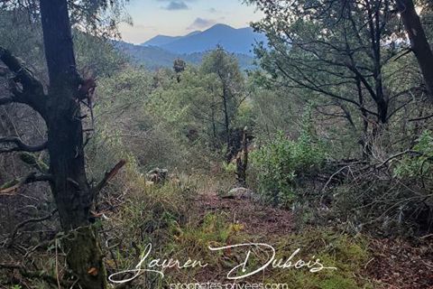 Helårsgrund i Levens, Alpes-Maritimes, Levens - € 25.000 | Ref: 414337LAUD - foto 8
