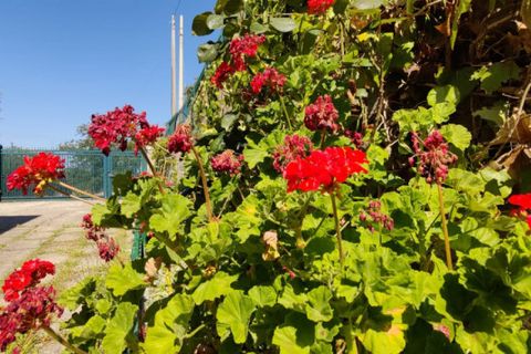 Villa i Eboli, Salerno, Eboli - € 325.000 | Ref: 553 - foto 12