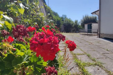 Villa i Eboli, Salerno, Eboli - € 325.000 | Ref: 553 - foto 13