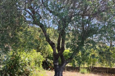 Villa i Eboli, Salerno, Eboli - € 325.000 | Ref: 553 - foto 17