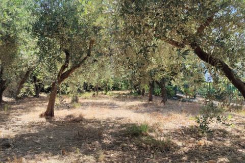 Villa i Eboli, Salerno, Eboli - € 325.000 | Ref: 553 - foto 20