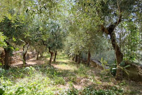 Villa i Eboli, Salerno, Eboli - € 325.000 | Ref: 553 - foto 25