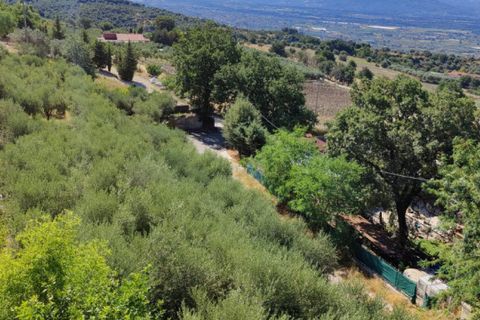 Villa i Eboli, Salerno, Eboli - € 325.000 | Ref: 553 - foto 36
