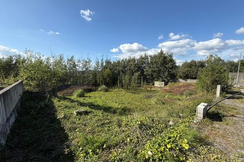 Byhus i Coimbra, Coimbra, Coimbra - € 700.000 | Ref: 15574N - foto 11