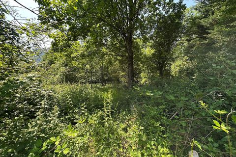 Helårsgrund i Kruth, Haut-Rhin, Kruth - € 67.000 | Ref: 412607HOF - foto 2