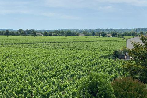 Villa a Vignonet, Gironde, Vignonet - € 3.837.000 | Ref: 411513SEDE - foto 4