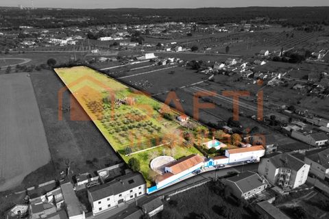 Farm i Abrantes, Santarem, Abrantes - € 498.000 | Ref: SAFTI:007018 - foto 2