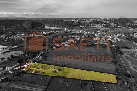 Farm i Abrantes, Santarem, Abrantes - € 498.000 | Ref: SAFTI:007018 - foto 20
