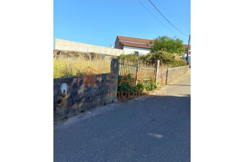 Terra a Olaia e Paco, Santarem, Olaia e Paco - € 28.000 | Ref: SAFTI:007013 - foto 3