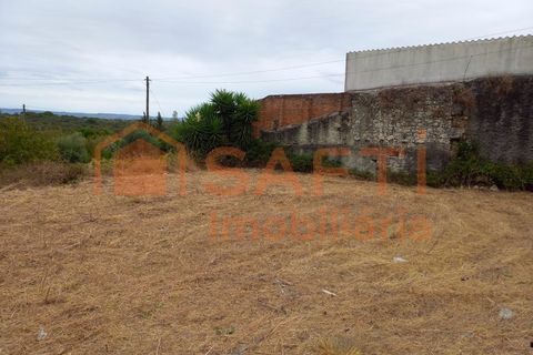 Terra a Olaia e Paco, Santarem, Olaia e Paco - € 28.000 | Ref: SAFTI:007013 - foto 4