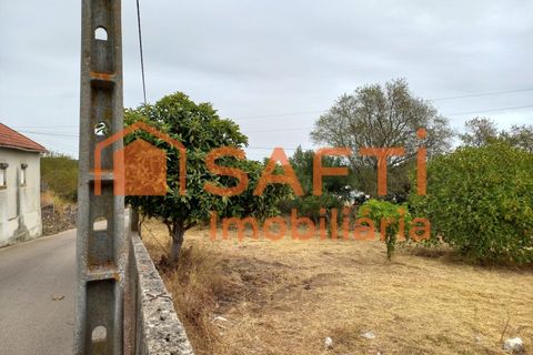 Terra a Olaia e Paco, Santarem, Olaia e Paco - € 28.000 | Ref: SAFTI:007013 - foto 2