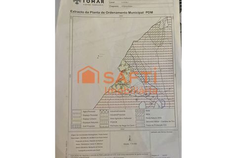 Terra a Olaia e Paco, Santarem, Olaia e Paco - € 28.000 | Ref: SAFTI:007013 - foto 5