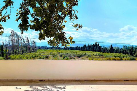 Villa i Thuir, Pyrenees-Orientales, Thuir - € 549.000 | Ref: 408417FROD - foto 10