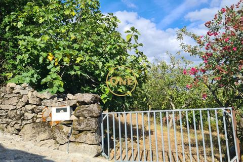 Byhus i Cabeceiras de Basto, Braga, Cabeceiras de Basto - € 284.900 | Ref: ONE471716-4 - foto 34