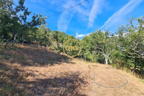 Byhus i Cabeceiras de Basto, Braga, Cabeceiras de Basto - € 284.900 | Ref: ONE471716-4 - foto 36