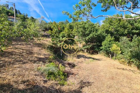 Byhus i Cabeceiras de Basto, Braga, Cabeceiras de Basto - € 284.900 | Ref: ONE471716-4 - foto 37
