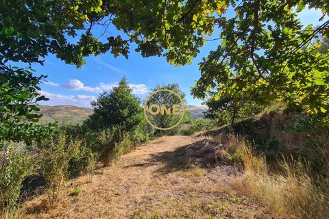 Byhus i Cabeceiras de Basto, Braga, Cabeceiras de Basto - € 284.900 | Ref: ONE471716-4 - foto 38