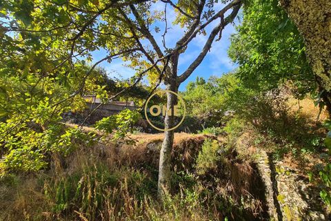 Byhus i Cabeceiras de Basto, Braga, Cabeceiras de Basto - € 284.900 | Ref: ONE471716-4 - foto 39