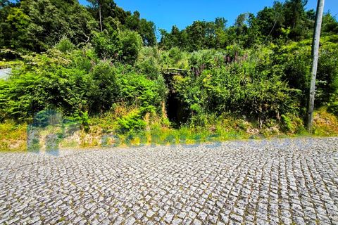 Helårsgrund i Ansiaes, Porto, Ansiaes - € 65.000 | Ref: D3000/050 - foto 2