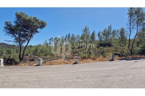 Helårsgrund i Cascais, Lisbon, Cascais - € 2.800.000 | Ref: CJG-T1337 - foto 2