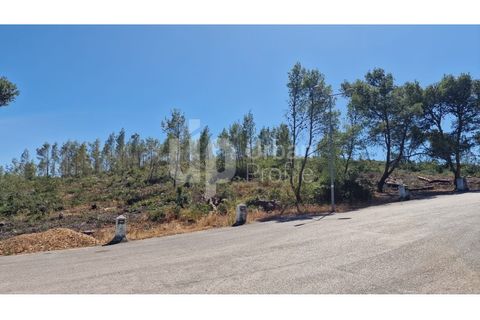 Helårsgrund i Cascais, Lisbon, Cascais - € 2.800.000 | Ref: CJG-T1337 - foto 3
