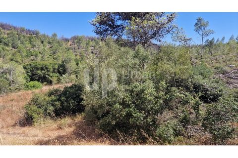 Helårsgrund i Cascais, Lisbon, Cascais - € 2.800.000 | Ref: CJG-T1337 - foto 4