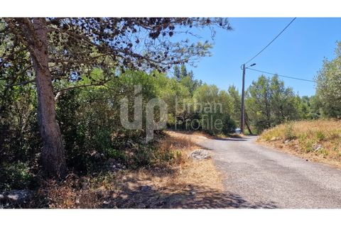 Helårsgrund i Cascais, Lisbon, Cascais - € 2.800.000 | Ref: CJG-T1337 - foto 5