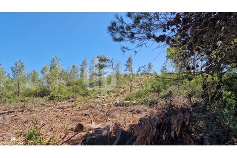 Helårsgrund i Cascais, Lisbon, Cascais - € 2.800.000 | Ref: CJG-T1337 - foto 6