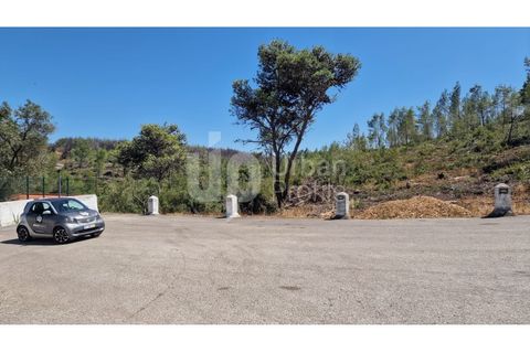 Helårsgrund i Cascais, Lisbon, Cascais - € 2.800.000 | Ref: CJG-T1337 - foto 7
