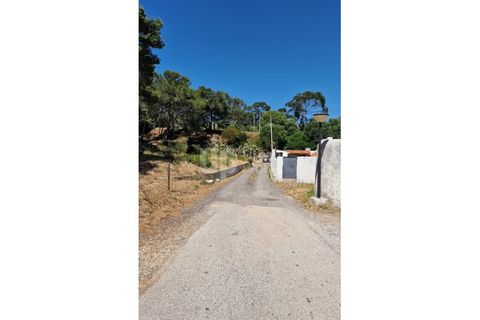 Helårsgrund i Cascais, Lisbon, Cascais - € 2.800.000 | Ref: CJG-T1337 - foto 8