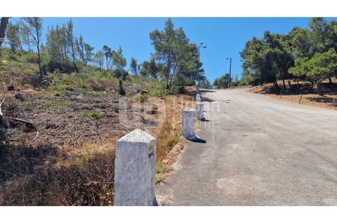 Helårsgrund i Cascais, Lisbon, Cascais - € 2.800.000 | Ref: CJG-T1337 - foto 9