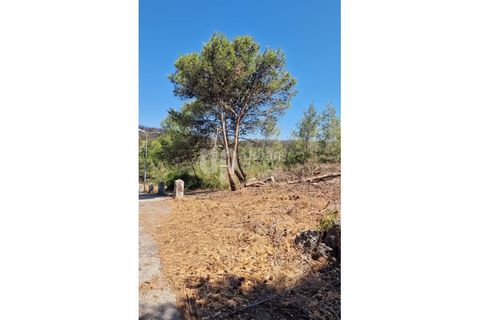 Helårsgrund i Cascais, Lisbon, Cascais - € 2.800.000 | Ref: CJG-T1337 - foto 10