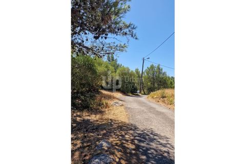 Helårsgrund i Cascais, Lisbon, Cascais - € 2.800.000 | Ref: CJG-T1337 - foto 11