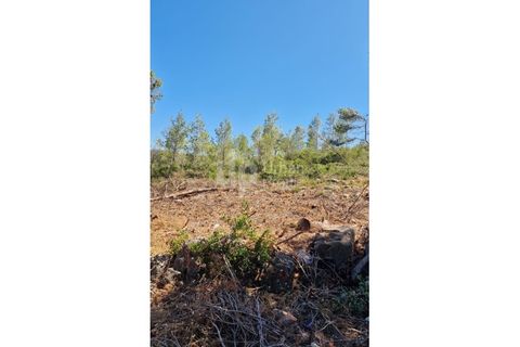 Helårsgrund i Cascais, Lisbon, Cascais - € 2.800.000 | Ref: CJG-T1337 - foto 12