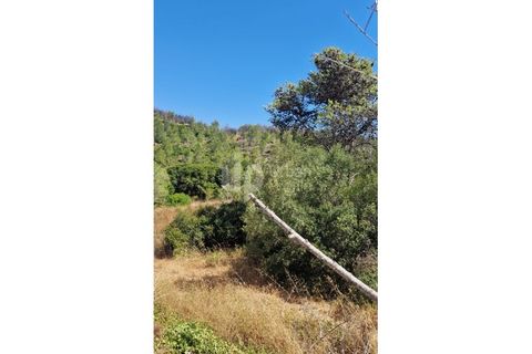 Helårsgrund i Cascais, Lisbon, Cascais - € 2.800.000 | Ref: CJG-T1337 - foto 13