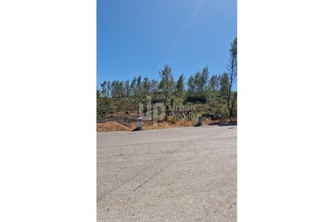 Helårsgrund i Cascais, Lisbon, Cascais - € 2.800.000 | Ref: CJG-T1337 - foto 14