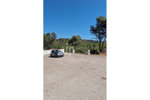 Helårsgrund i Cascais, Lisbon, Cascais - € 2.800.000 | Ref: CJG-T1337 - foto 15