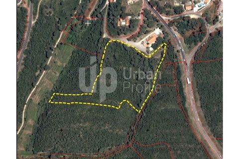 Helårsgrund i Cascais, Lisbon, Cascais - € 2.800.000 | Ref: CJG-T1337 - foto 16