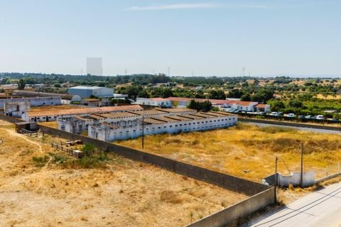 Tomt i Quinta do Anjo, Setubal, Quinta do Anjo - € 317 500 | Ref: KWPT-018547 - foto 33