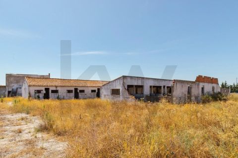 Tomt i Quinta do Anjo, Setubal, Quinta do Anjo - € 317 500 | Ref: KWPT-018547 - foto 34