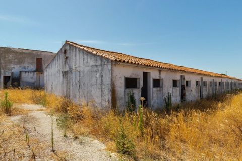 Tomt i Quinta do Anjo, Setubal, Quinta do Anjo - € 317 500 | Ref: KWPT-018547 - foto 32