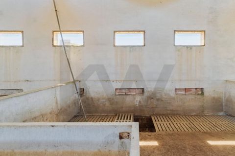 Tomt i Quinta do Anjo, Setubal, Quinta do Anjo - € 317 500 | Ref: KWPT-018547 - foto 26