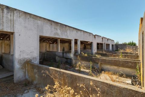 Tomt i Quinta do Anjo, Setubal, Quinta do Anjo - € 317 500 | Ref: KWPT-018547 - foto 20