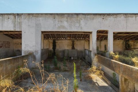 Tomt i Quinta do Anjo, Setubal, Quinta do Anjo - € 317 500 | Ref: KWPT-018547 - foto 19