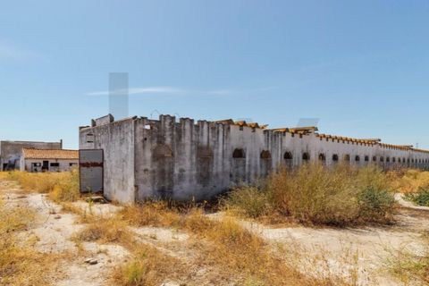 Tomt i Quinta do Anjo, Setubal, Quinta do Anjo - € 317 500 | Ref: KWPT-018547 - foto 17