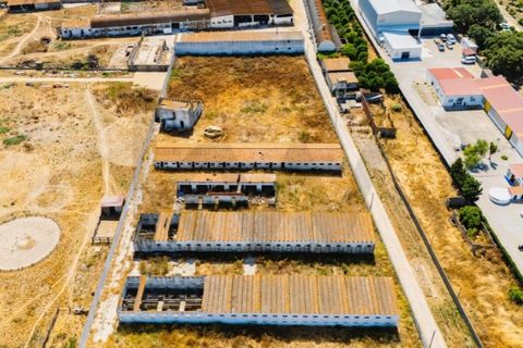 Tomt i Quinta do Anjo, Setubal, Quinta do Anjo - € 317 500 | Ref: KWPT-018547 - foto 10